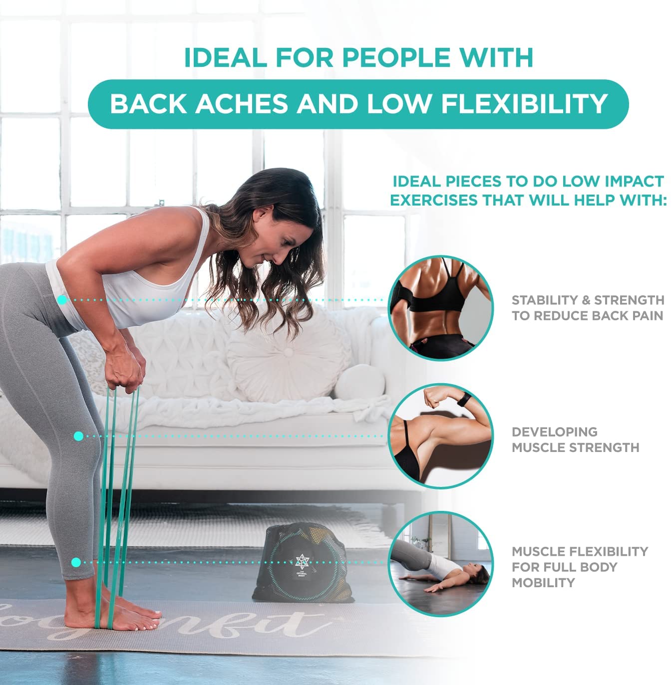 Back pain best sale exercise tools